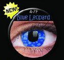 farebné šošovky Crazy Lens Blue Leopard